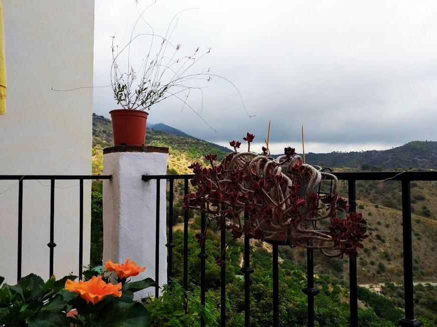 Posada Puente Romano Sedella Eksteriør billede